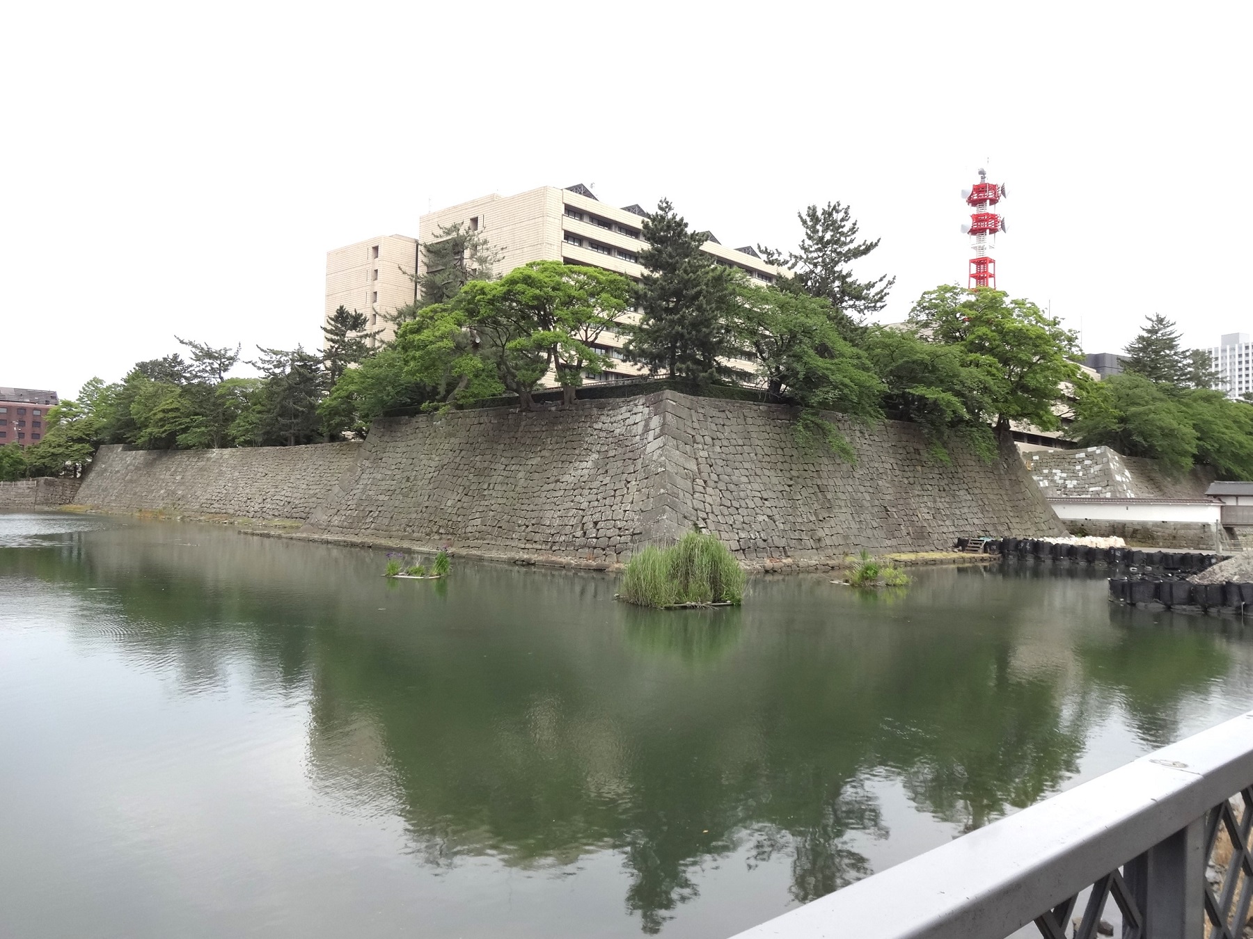  福井城跡 