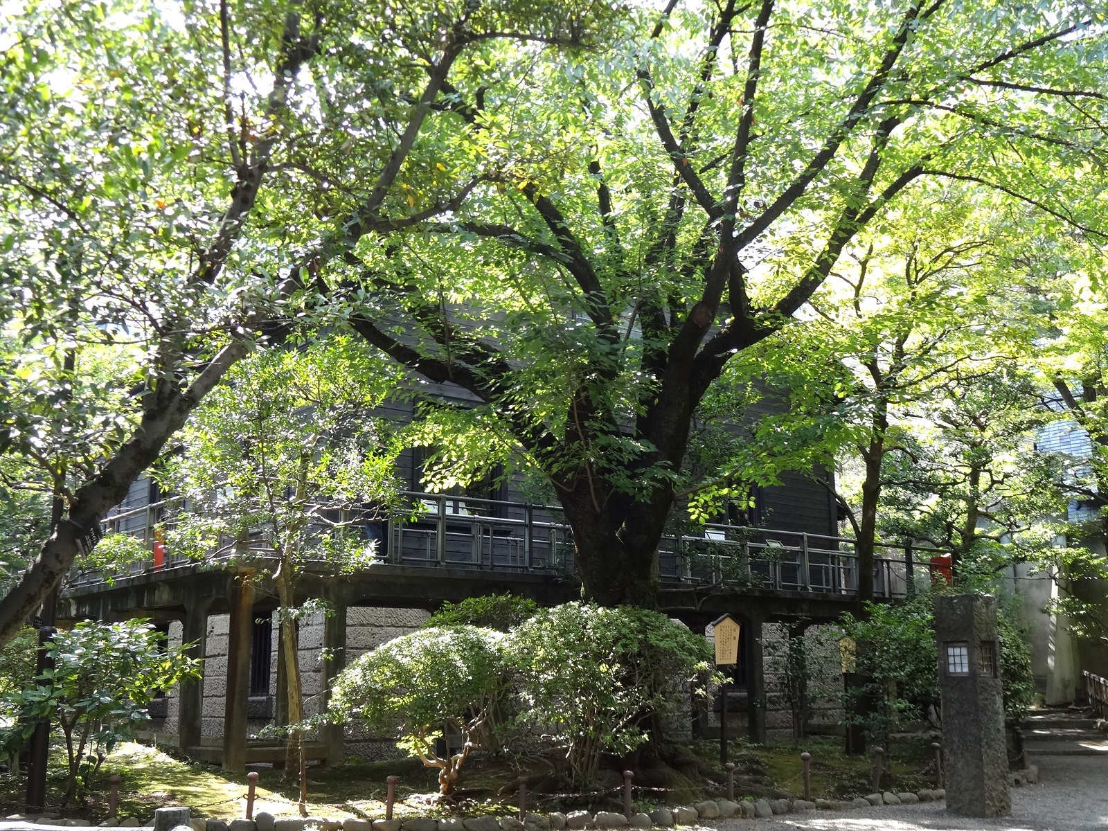 乃木神社・旧乃木邸